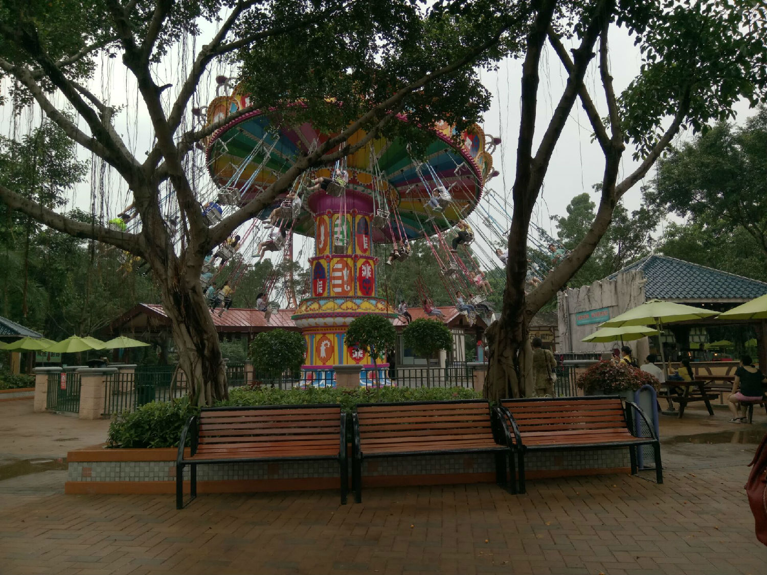 讓人頭暈眼花的飆風飛椅 讓人頭暈眼花的飆風飛椅